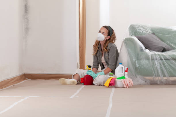 Reliable Mold Testing contractor in Oakland, MD by WQB Mold Removal